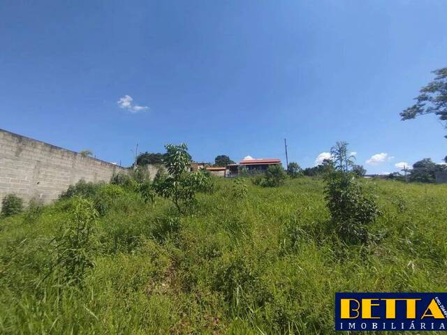 #7431 - Área para Venda em Jacareí - SP - 1