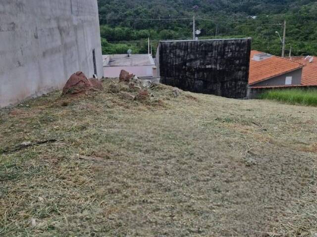 #7474 - Terreno para Venda em Jacareí - SP - 3