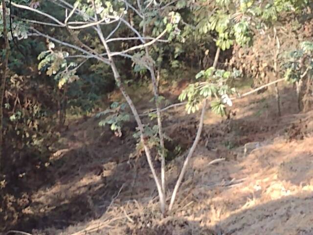 #7516 - Terreno em condomínio para Venda em São José dos Campos - SP - 2
