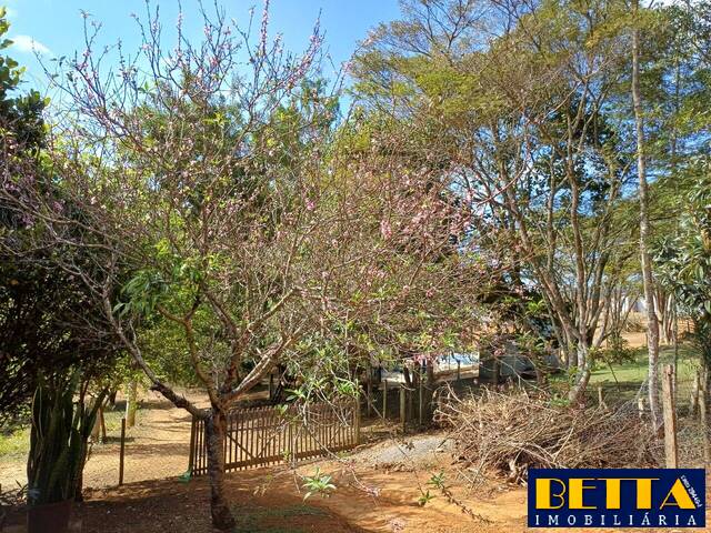 Sítio para Venda em Guararema - 4