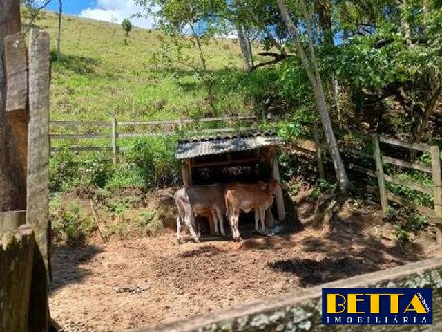 Chácara para Venda em São José dos Campos - 5