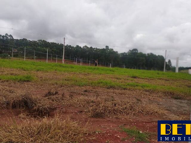 Terreno para Venda em São José dos Campos - 4