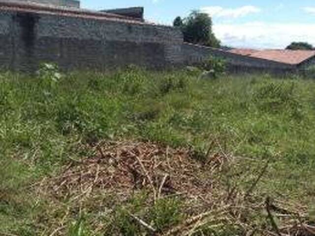 #7706 - Terreno para Venda em São José dos Campos - SP - 3
