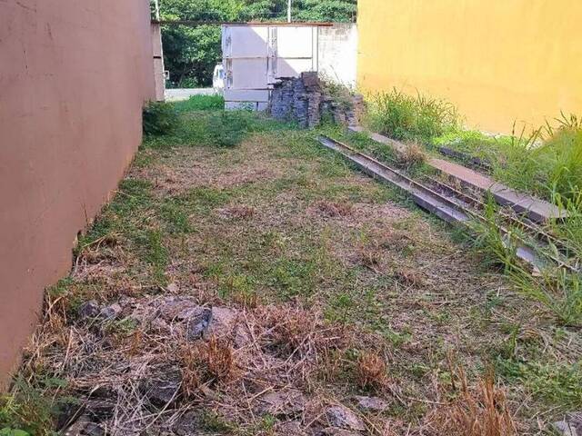 #7736 - Área para Venda em Jacareí - SP - 3