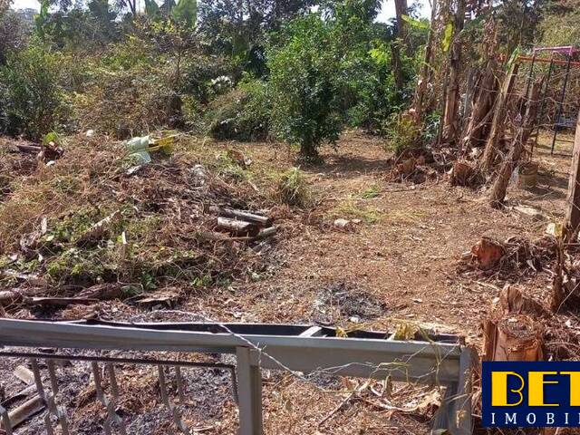 #7783 - Área para Venda em São José dos Campos - SP - 3