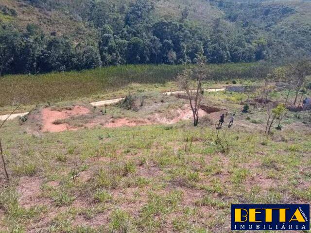 #7788 - Área para Venda em Jacareí - SP - 1