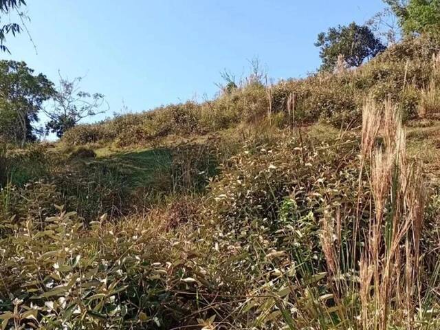 #7870 - Área para Venda em Jacareí - SP - 3