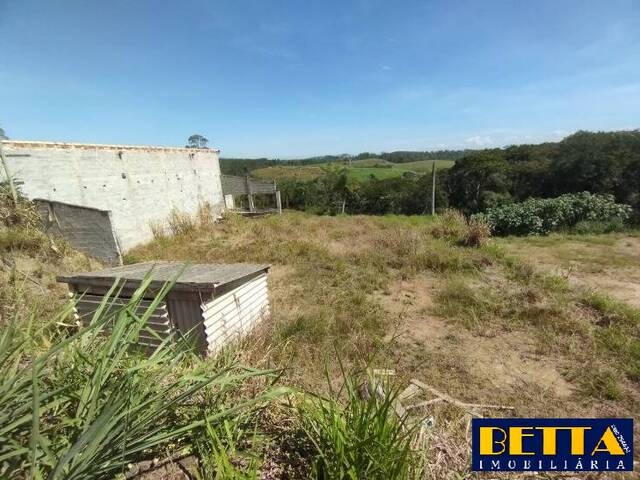 #7901 - Terreno para Venda em Guararema - SP - 3