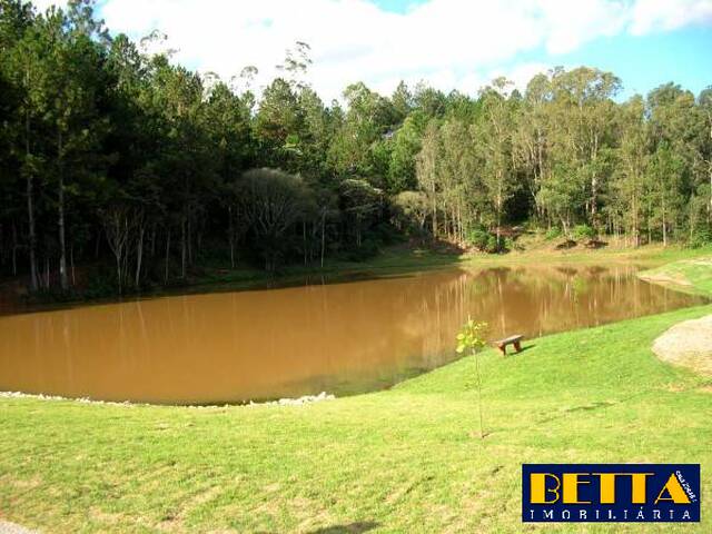 Terreno para Venda em Jambeiro - 5