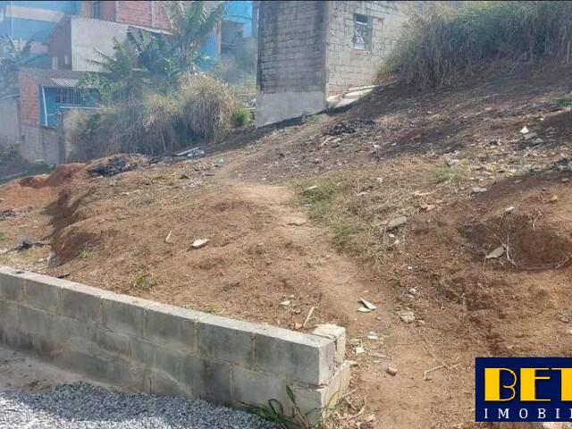 #7917 - Área para Venda em Jacareí - SP - 1