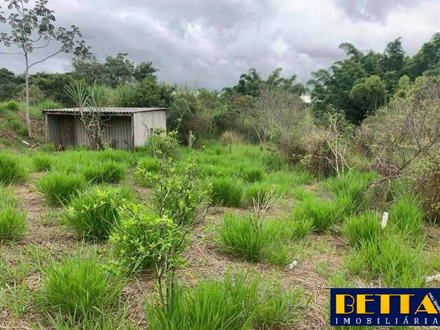 #7920 - Área para Venda em Jacareí - SP - 1