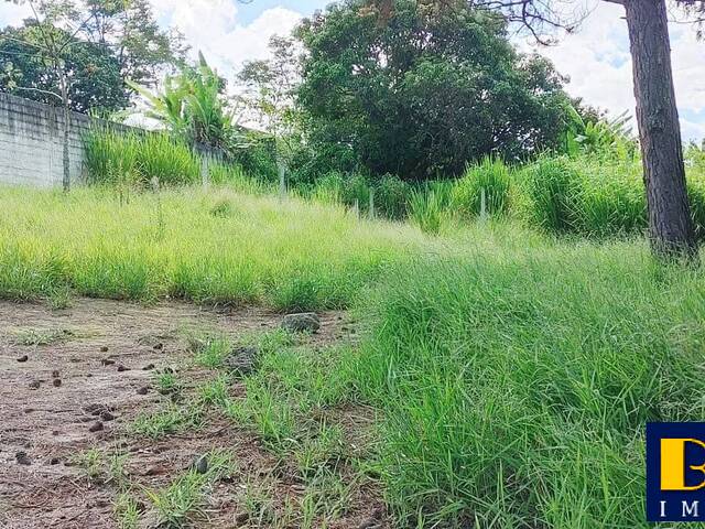 #8022 - Terreno para Venda em Jacareí - SP