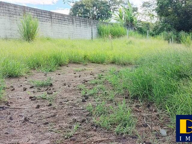 #8022 - Terreno para Venda em Jacareí - SP