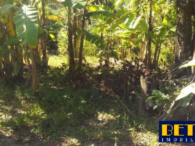 Terreno para Venda em Jacareí - 4