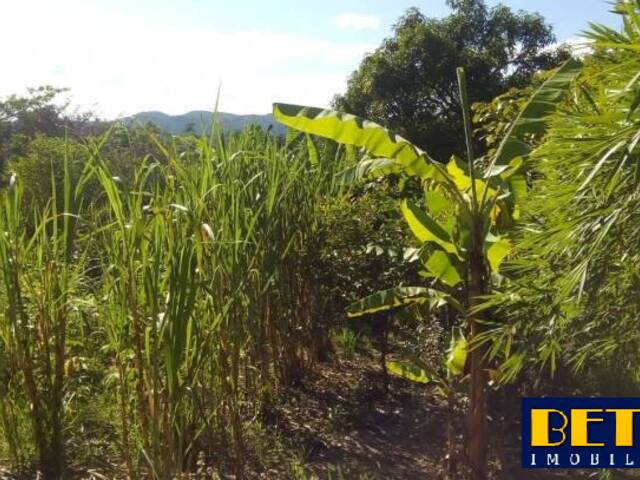 Terreno para Venda em Jacareí - 5
